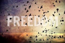 freedom-2